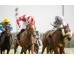  Carrera: P.Játiva Caballo: Haya Taal Monta: E.A Rodríguez